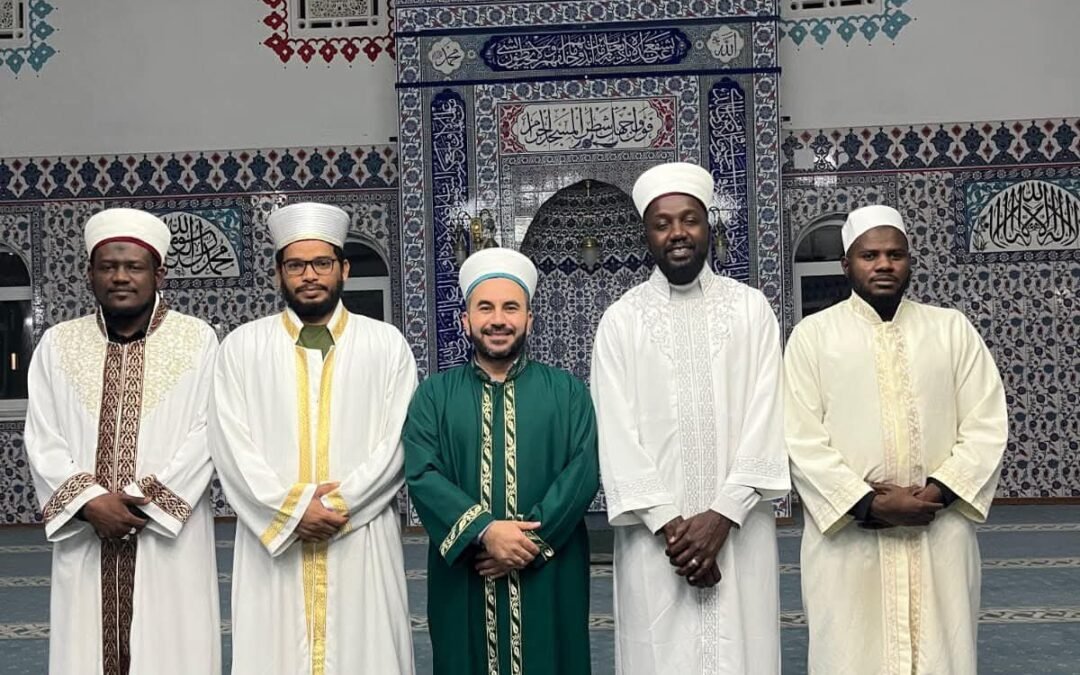 مشاركات وتفاعلات
